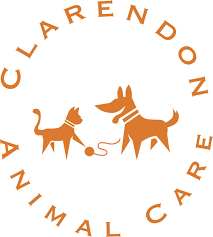 Clarendon Animal Care