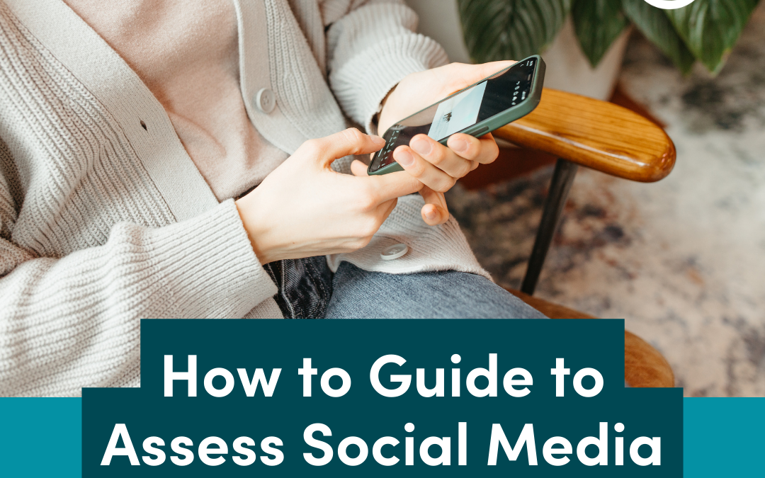 How to Guide to Assess Social Media Networks